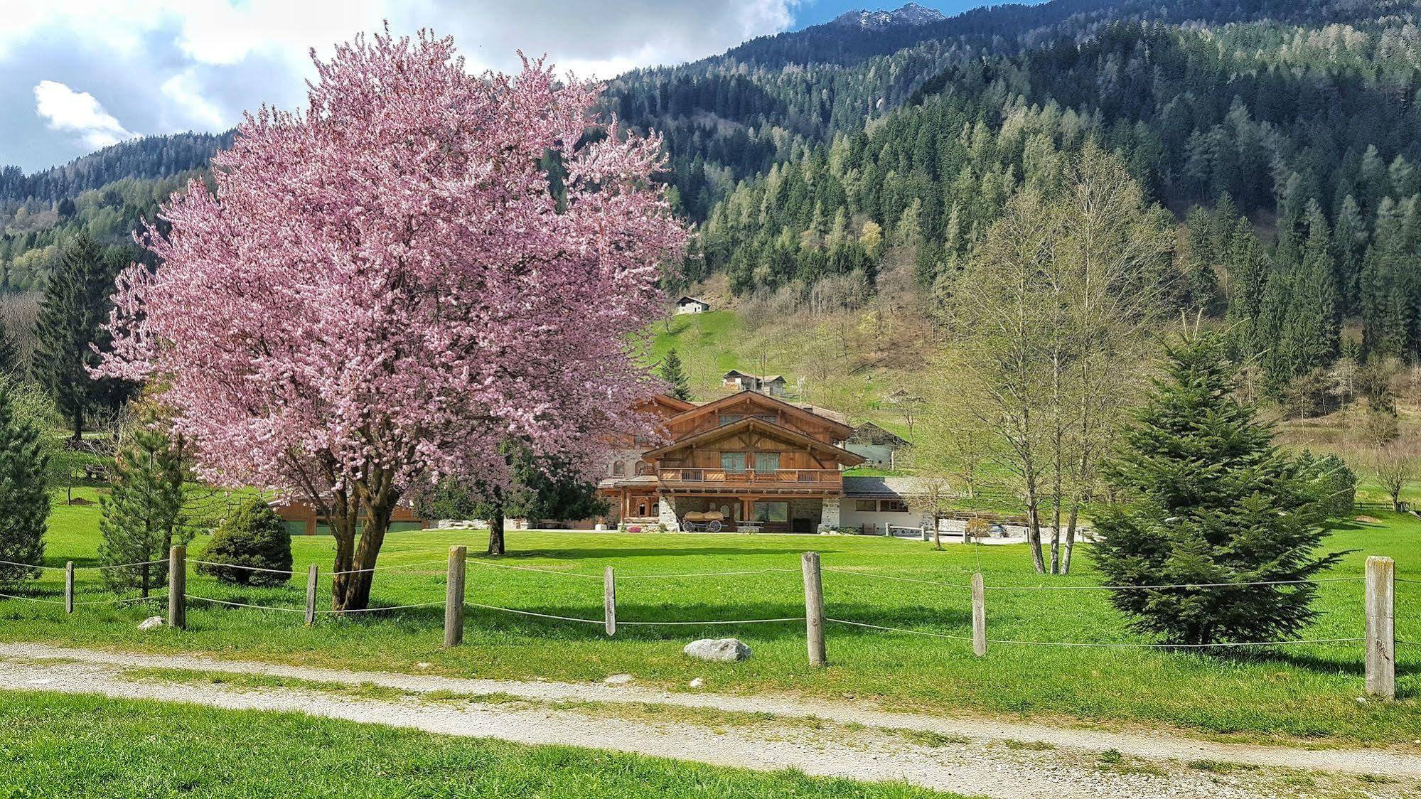 Hotel Maso Del Brenta Caderzone Eksteriør billede